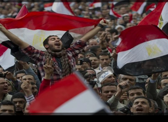 مراجعه ماده التاريخ 