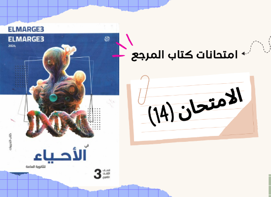 حل كتاب المرجع 