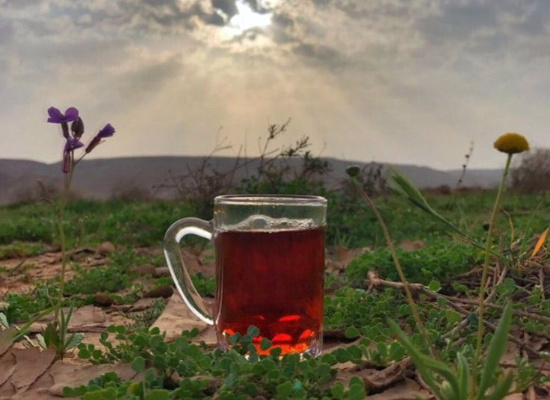 الموارد الزراعية