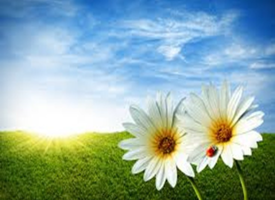 test 22