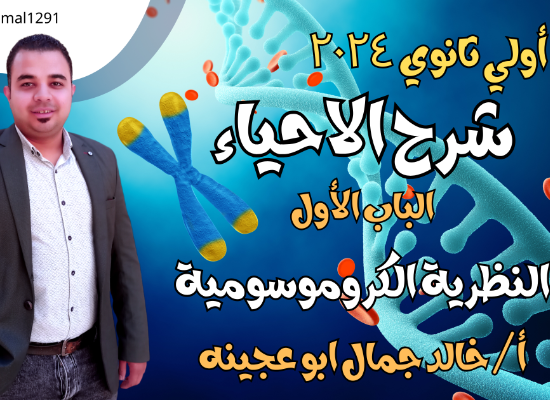 شرح الدرس الاول احياء اولي ثانوي الترم الثاني 
النظرية الكروموسومية