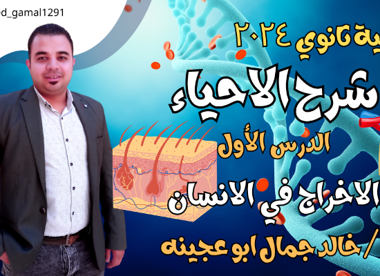 شرح تفصيلي للدرس الاول 