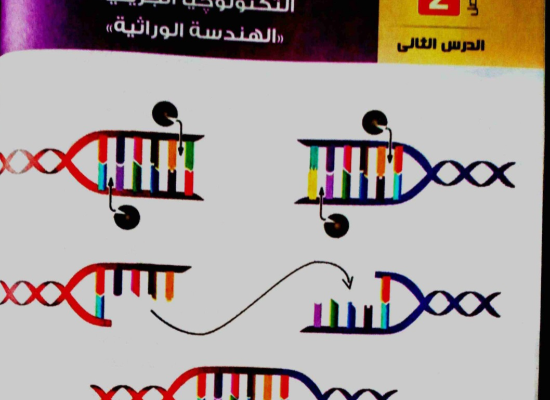 شرح كامل من كتاب الامتحان التكنولوجيا الجزيئية