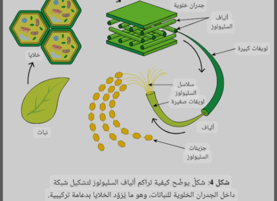 شرح