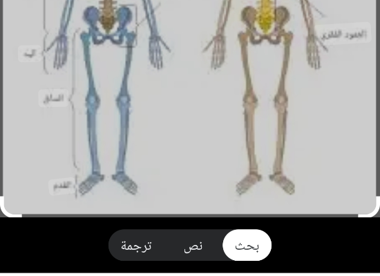 شرح