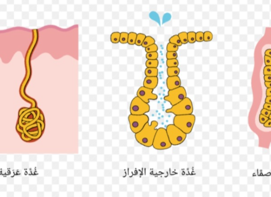 شرح