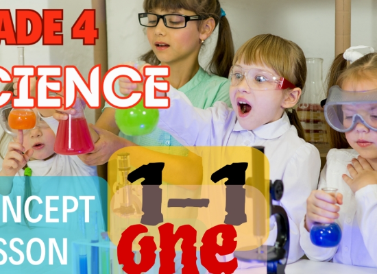 adaptation concept(1-1)lesson 1