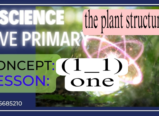 concept (1-1) lesson 1the plant structure
اول درس فى grade 5