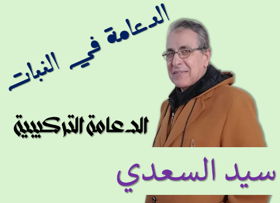 الدعامة التركيبية
