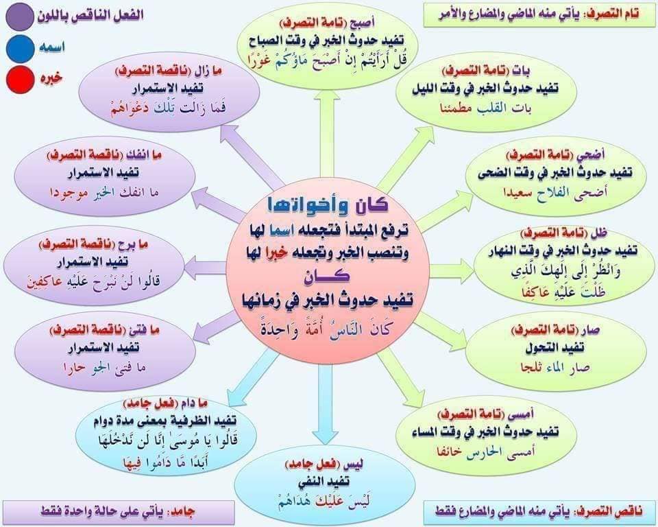 محمود أحمد  مراد