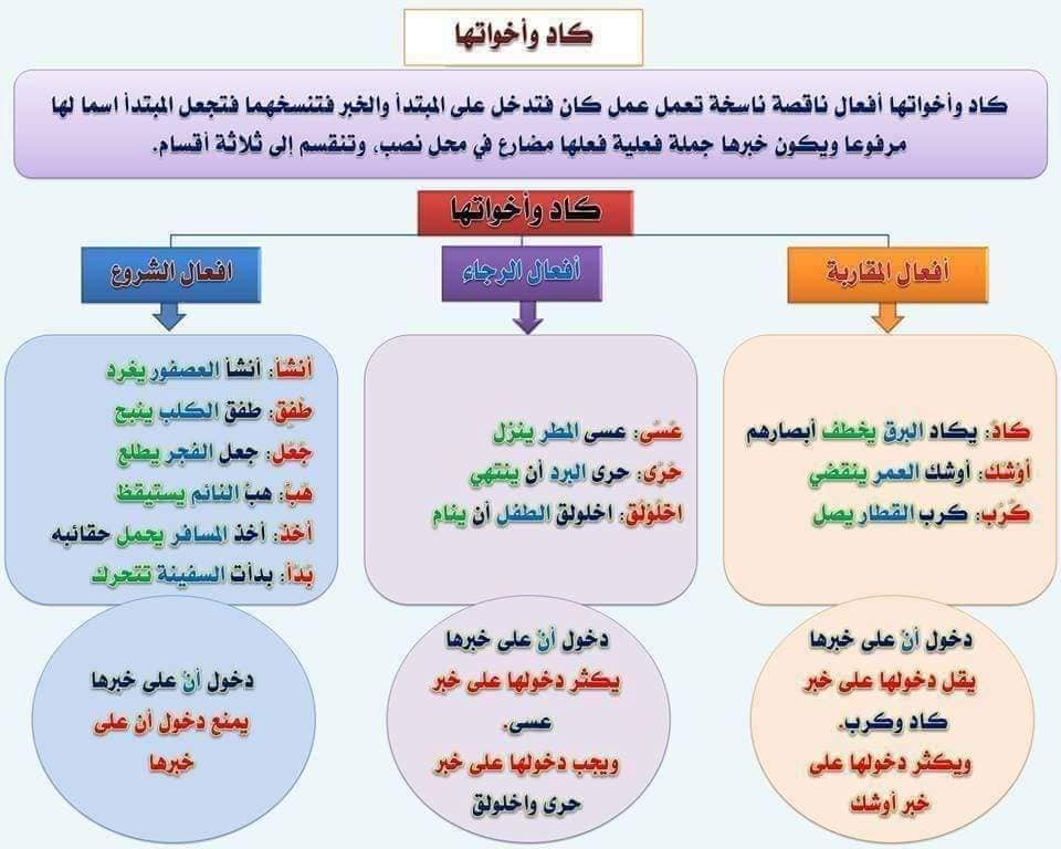محمود أحمد  مراد
