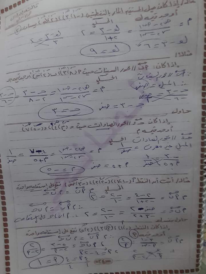 محمد كارم الصالحى 