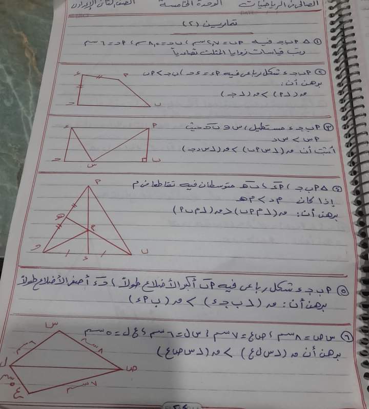 محمد كارم الصالحى 