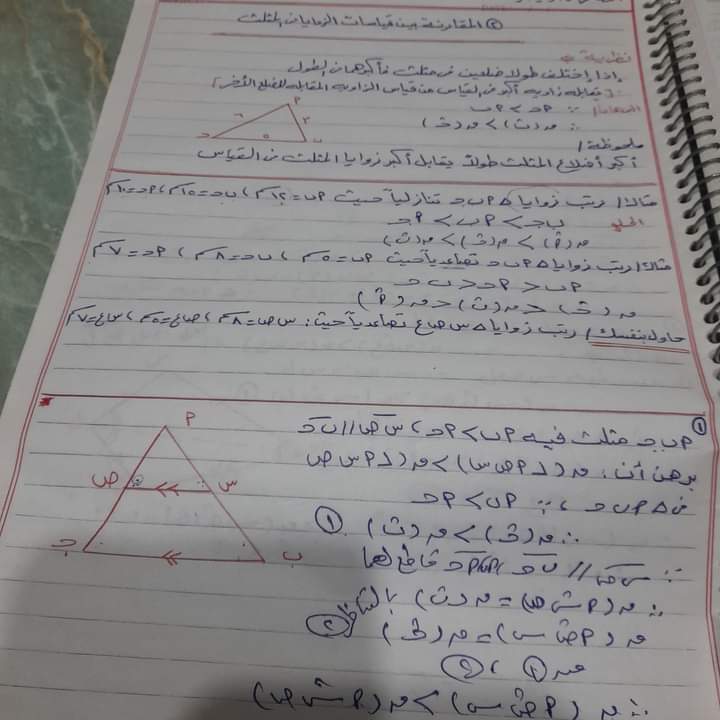 محمد كارم الصالحى 