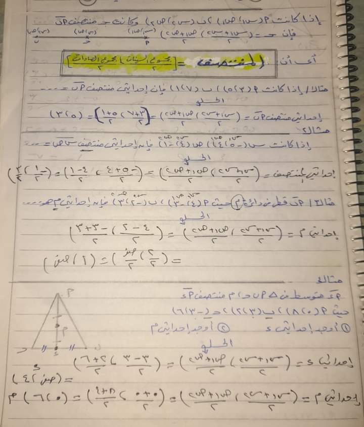 محمد كارم الصالحى 