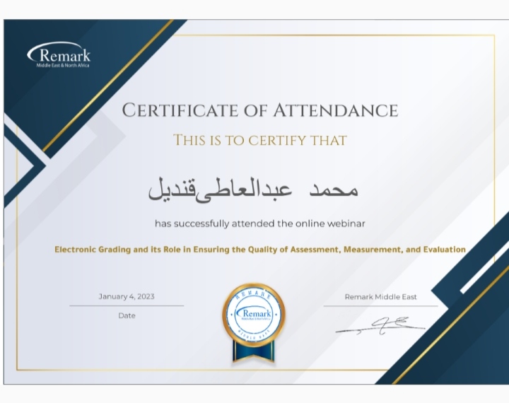 محمد عبدالعاطى قنديل 
