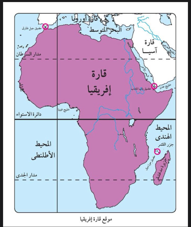 هاله محمد عبد الحميد السايح 