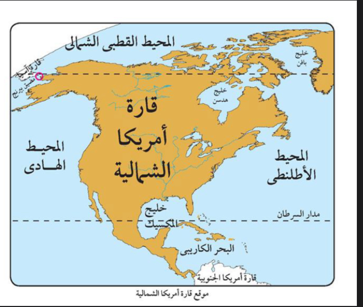 هاله محمد عبد الحميد السايح 