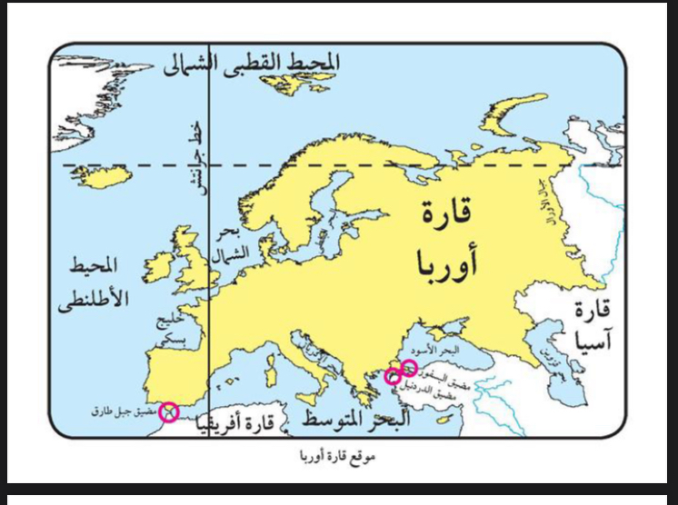 هاله محمد عبد الحميد السايح 