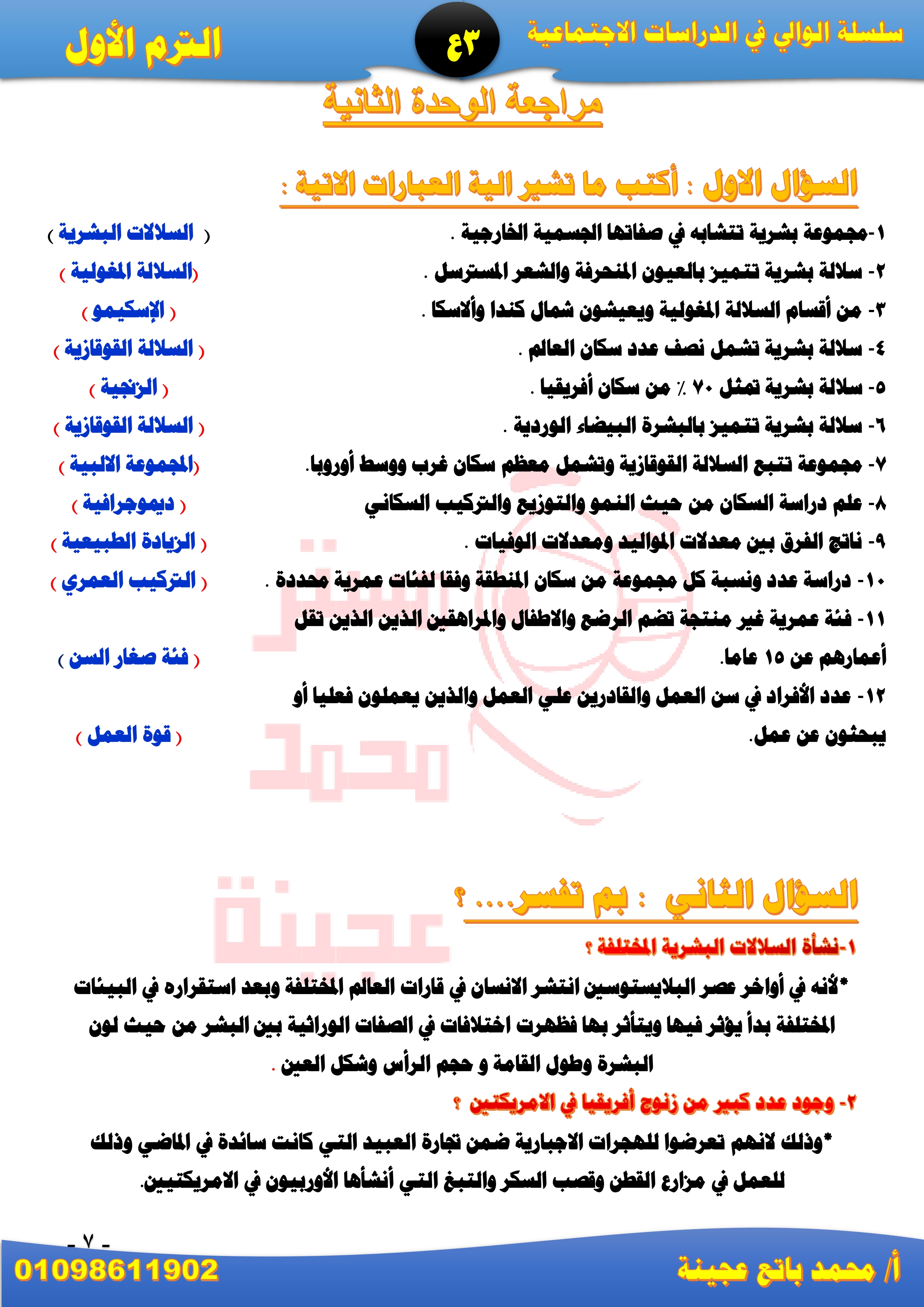 أ/ محمد عجينة 
