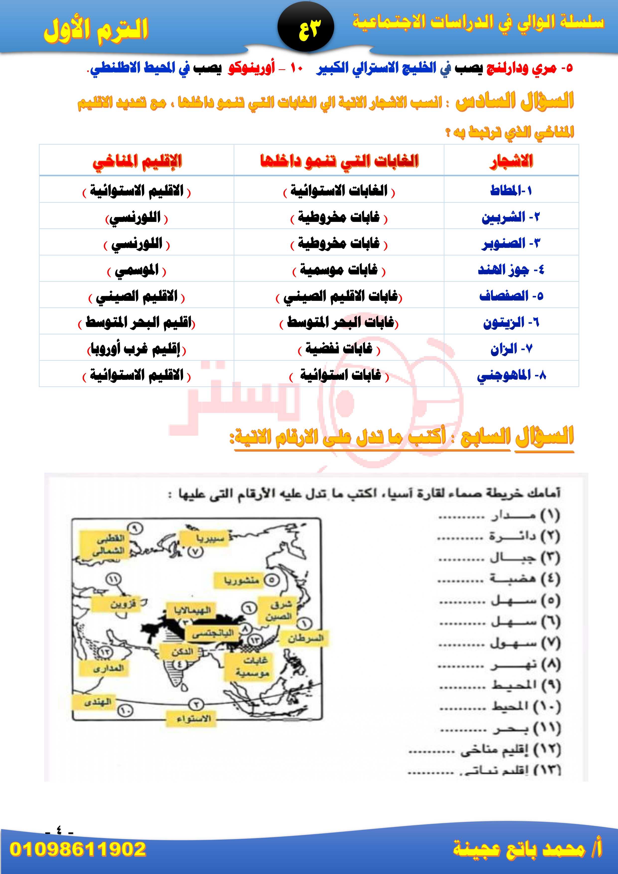 أ/ محمد عجينة 