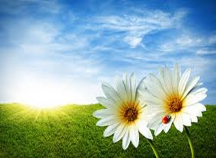 udegram testing