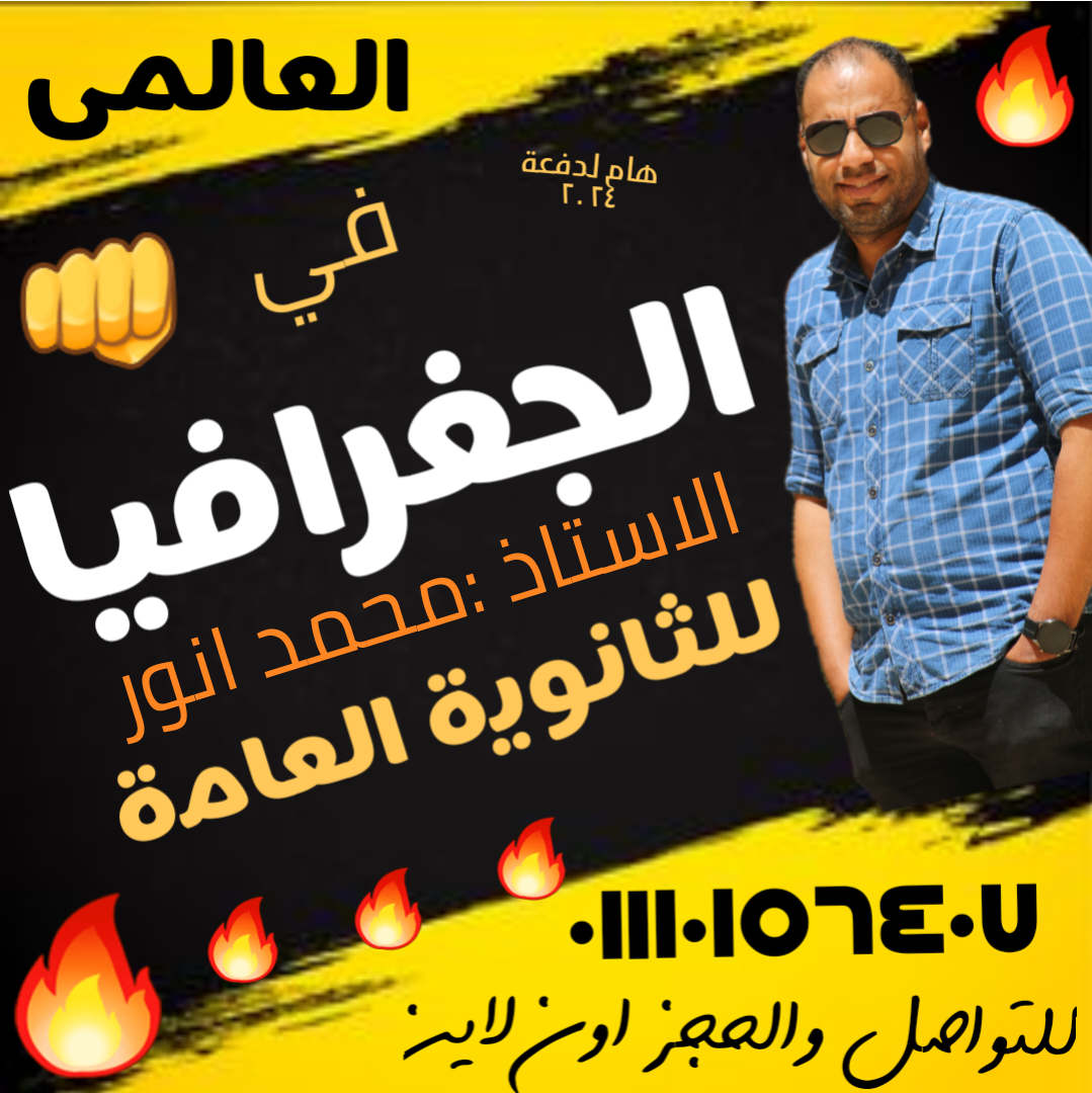 محمد انور سيد محمود 