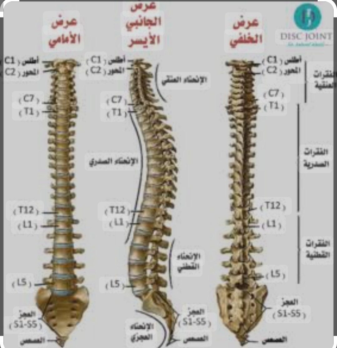 مريم يوسف أنور 