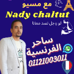 نادي شلتوت 